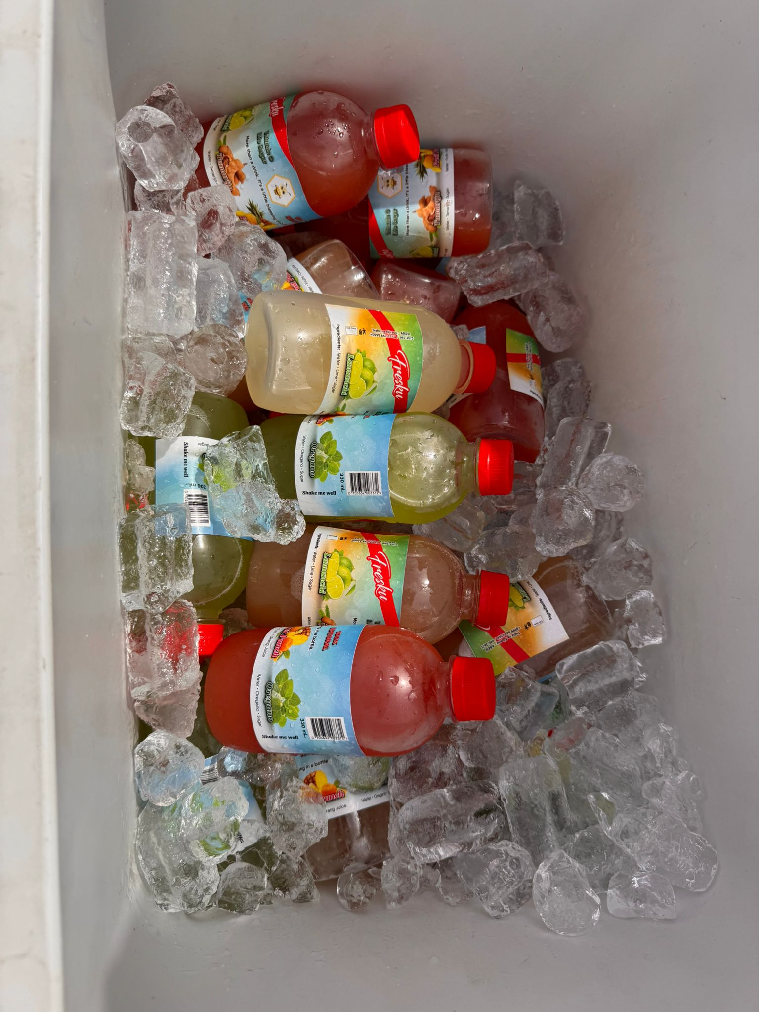 WhatsApp Image 2026-02-24 at 1.46.07 PM (2)